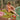 Heena Cotton Resort Set