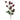 Frosted Sea Urchin Spray - Burgundy 70cm