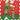 Grinch & the Chimney Socks - Kids/Adults