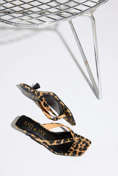 Astute - Leopard