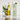 Fragrance Diffuser 250ml - White Tea & Wild Mint
