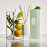 Fragrance Diffuser 250ml - White Tea & Wild Mint
