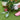Garden Tool Set - Confetti