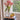 Party Speckle Vase