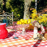 Long Lunch Red Water Jug