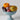 Hypnotic Fruit Bowl